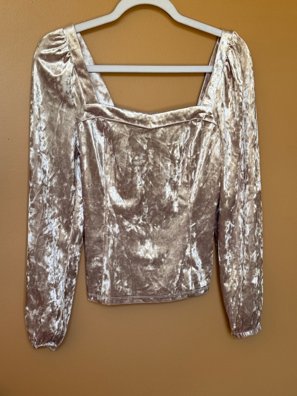 Anthropologie Jessima Velvet Taupe/Tan Top NWOT